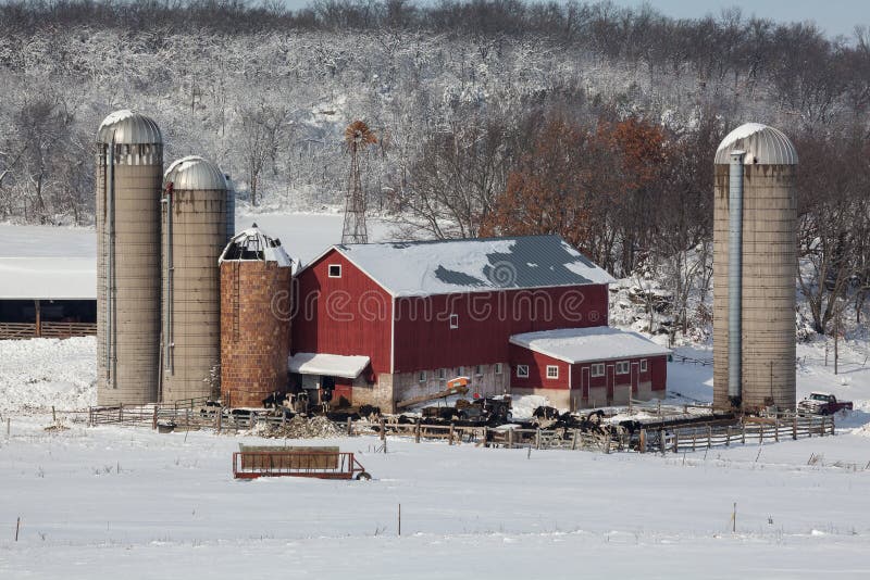 Dairy farm in fresh snow stock image. Image of cold, dairy 89284973