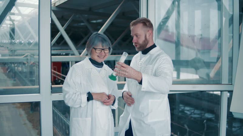 Dairy farm workers are examining a milk sample in a tube stock video