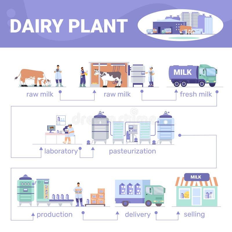 Dairy Plant Flat Infographics Stock Illustration - Illustration of ...