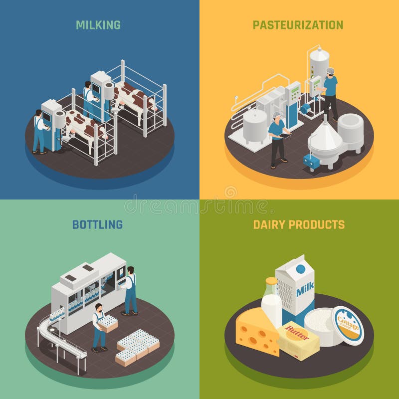 Stages Milk Production Infographics Stock Illustrations 10 Stages