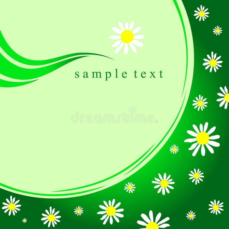 Camomiles on a green background. Raster version of a vector illustration. Camomiles on a green background. Raster version of a vector illustration