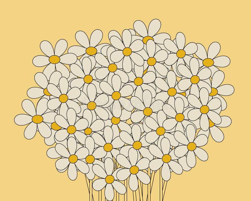 Daisies