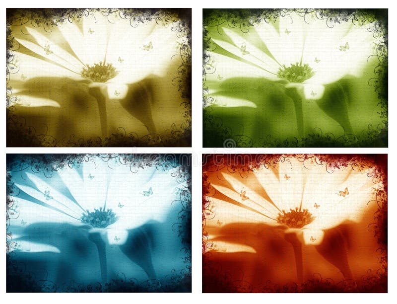 Daisies backgrounds