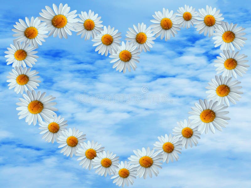 Daisies heart on blue sky stock image. Image of cloudy 45125823