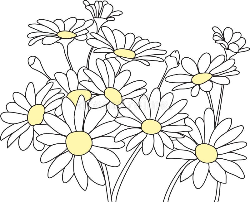 Free Free 76 Daisy Flower Outline Svg SVG PNG EPS DXF File