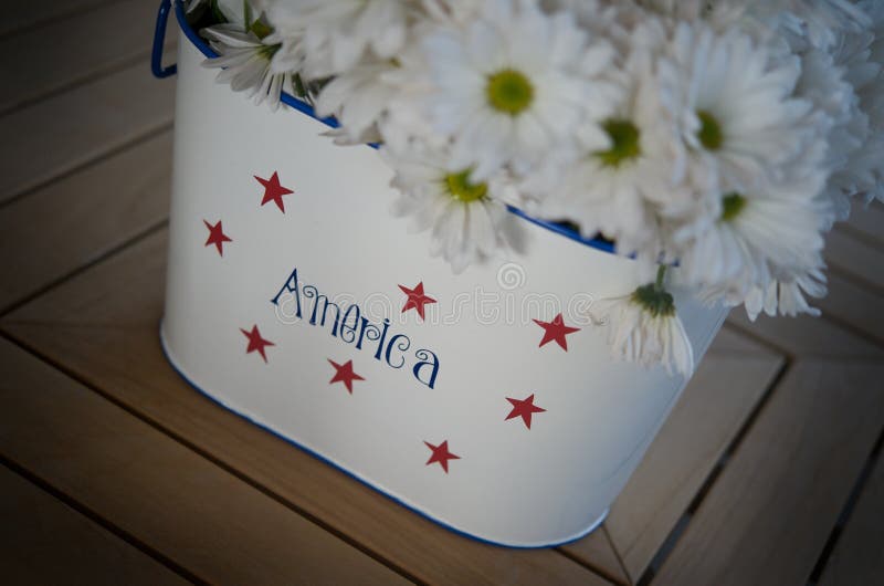 An image of a daisies in a patriotic tin