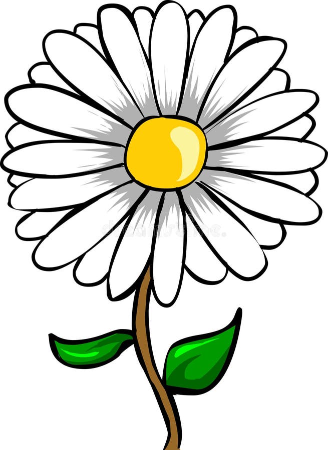 Daisy stock vector. Illustration of illustration, summer 2619413