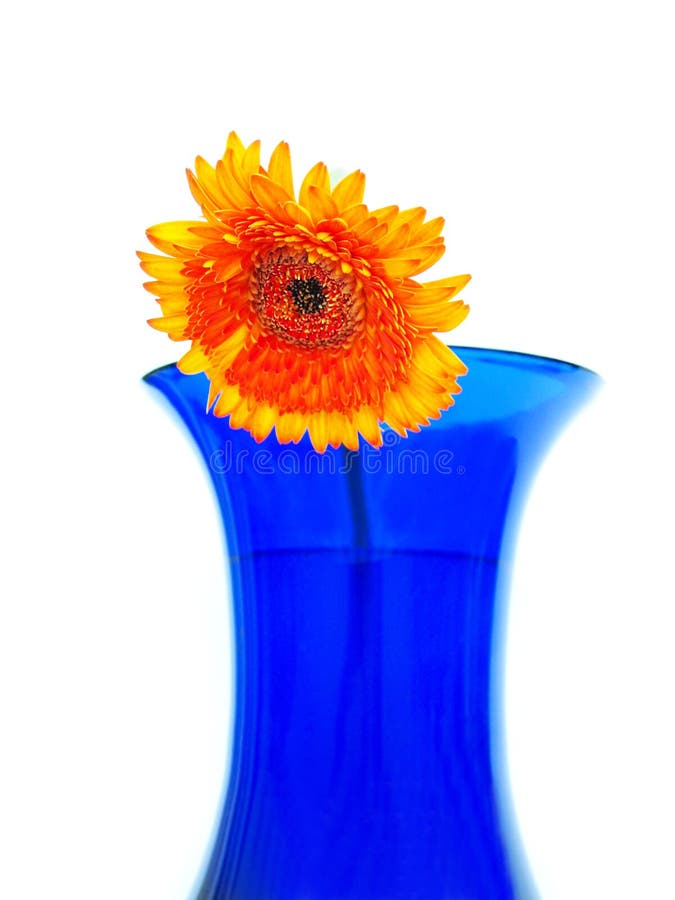 Blue and Orange Vases with Flowers Stock Photo Image of happy, colors