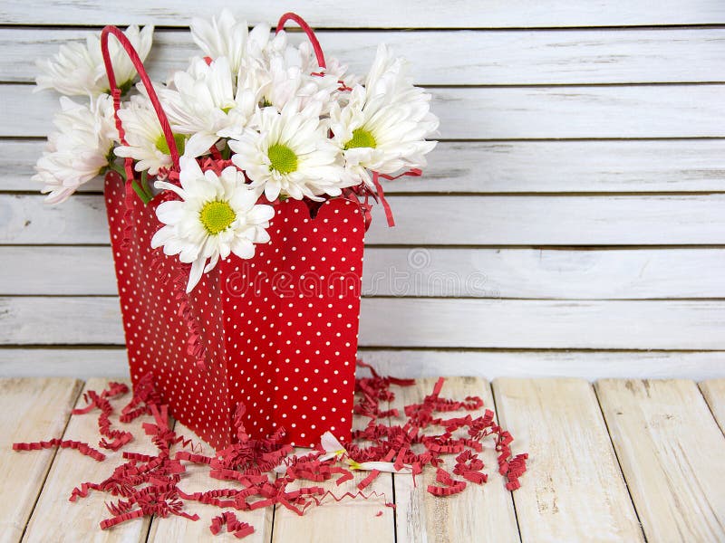 Daisy Bouquet in Red Polka Dot Gift Bag Stock Image Image of flower