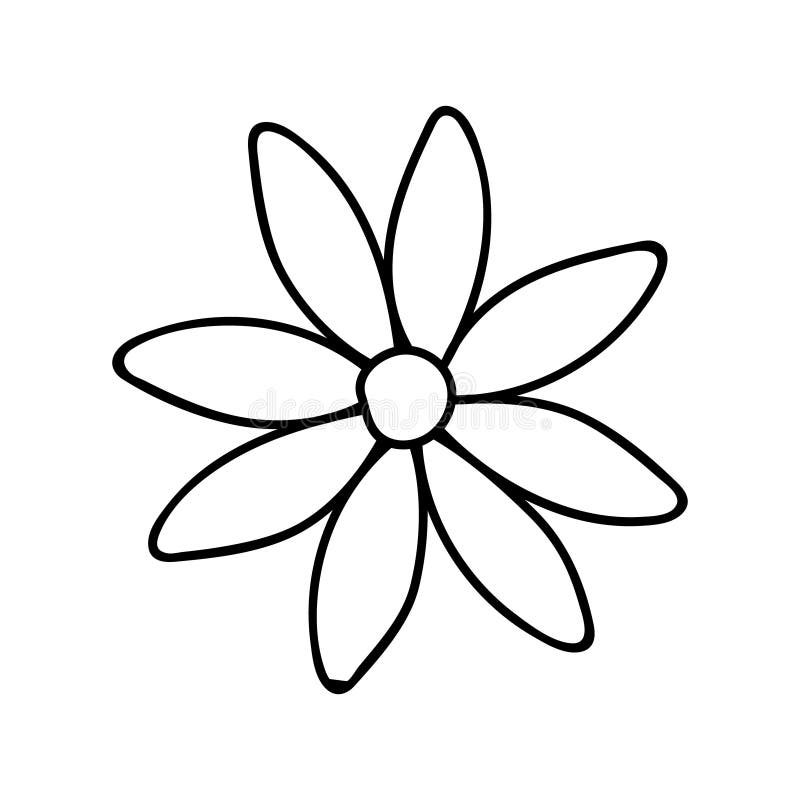 Daisy, Camomile Doodle Illustration.Black and White Image.Contour