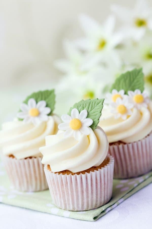 Daisy cupcakes stock photo. Image of fancy, cake, icing 13381468