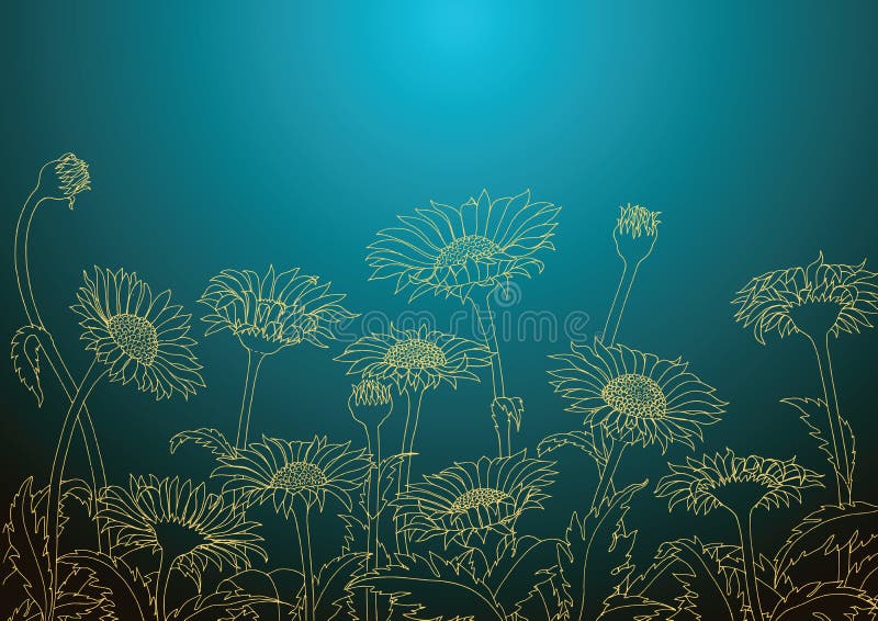 Daisy field outline sketch hand drawing,Daisy wallpaper background stock illustration Daisy field outline sketch hand drawing,Daisy wallpaper background stock illustration