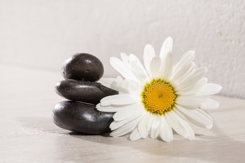 Daisy Stones Stock Photos Download 1 757 Royalty Free Photos Images, Photos, Reviews