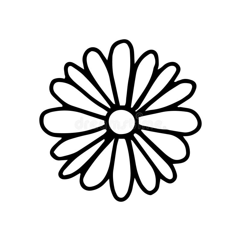 Daisy Flower in the Doodle Style . Black and White Image Isolated on a