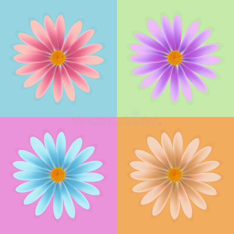 Daisy Flower Vector, Colorful Daisy Vector, Flower Vector Stock
