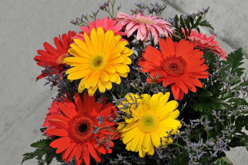 Daisy Flowers in Bouquet stock image. Image of bouquet 5041063