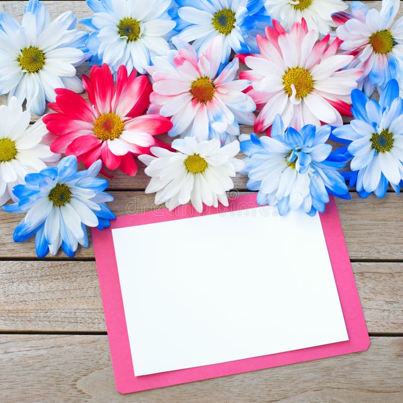 Daisy Flowers in Red White and Blue Colors with Party Invitation Card Laying on Rustic Board Table with room or space for your words, text or copy. It`s flat layout and above view with a square crop. Daisy Flowers in Red White and Blue Colors with Party Invitation Card Laying on Rustic Board Table with room or space for your words, text or copy. It`s flat layout and above view with a square crop.