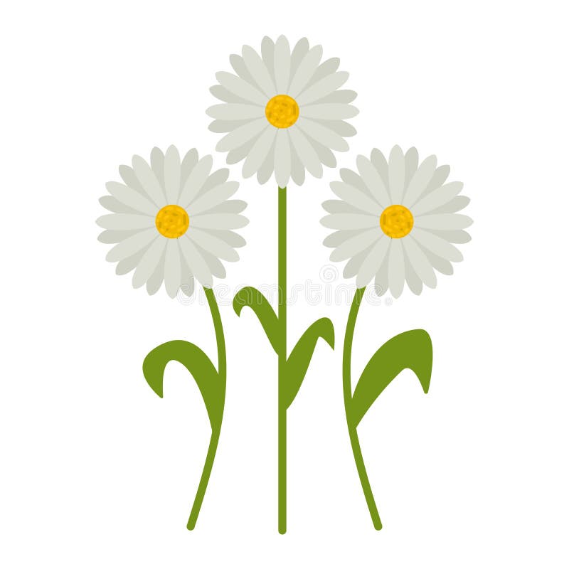 Daisy Flowers Flat Icon, Wild Flowers Stock Illustration - Illustration