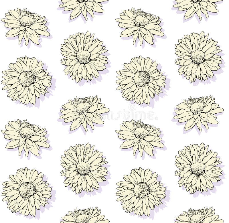 Daisy Flowers Hand Drawn Pattern Pastel Stock Vector Illustration of