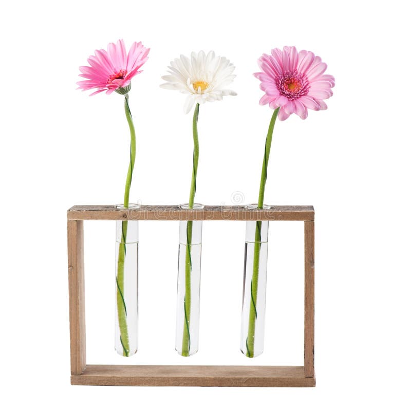 Flowers in test tubes stock image. Image of cornflower 2620017