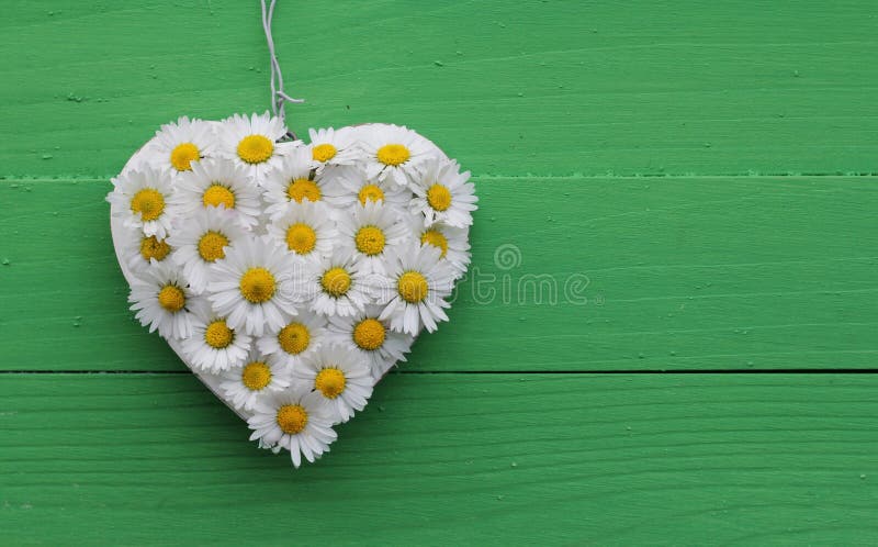 Download 6 219 Daisy Heart Photos Free Royalty Free Stock Photos From Dreamstime