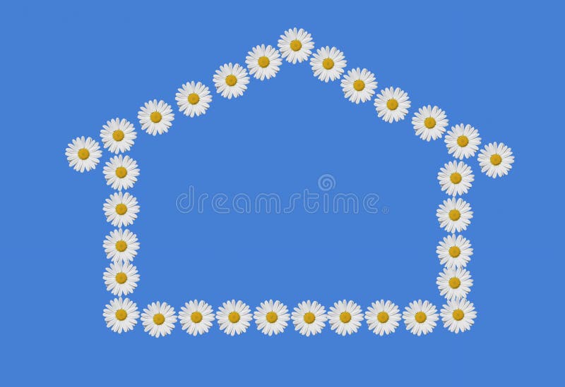 Daisy house, stock photo. Image of daisy, natural, environmental 19515210