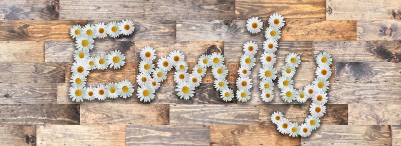 Daisy Name Emily Wood Background Stock Illustration - Illustration of card, flowers: 85446464 Daisy Name Emily Wood Background Stock Illustration - Illustration of card, flowers: 85446464