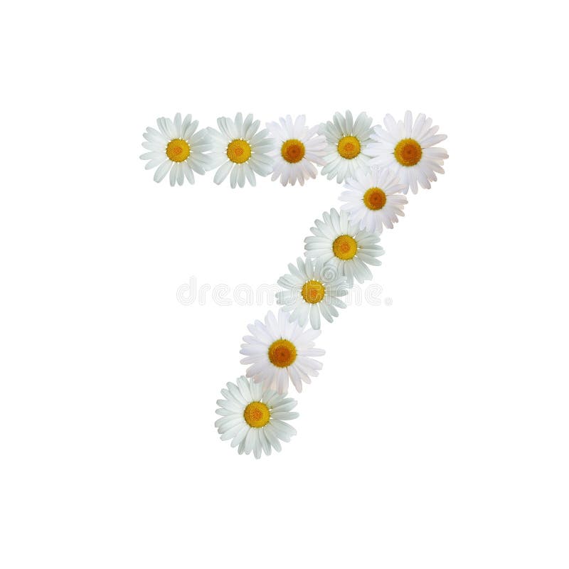Daisy Number Five Stock Illustration Illustration Of Letter