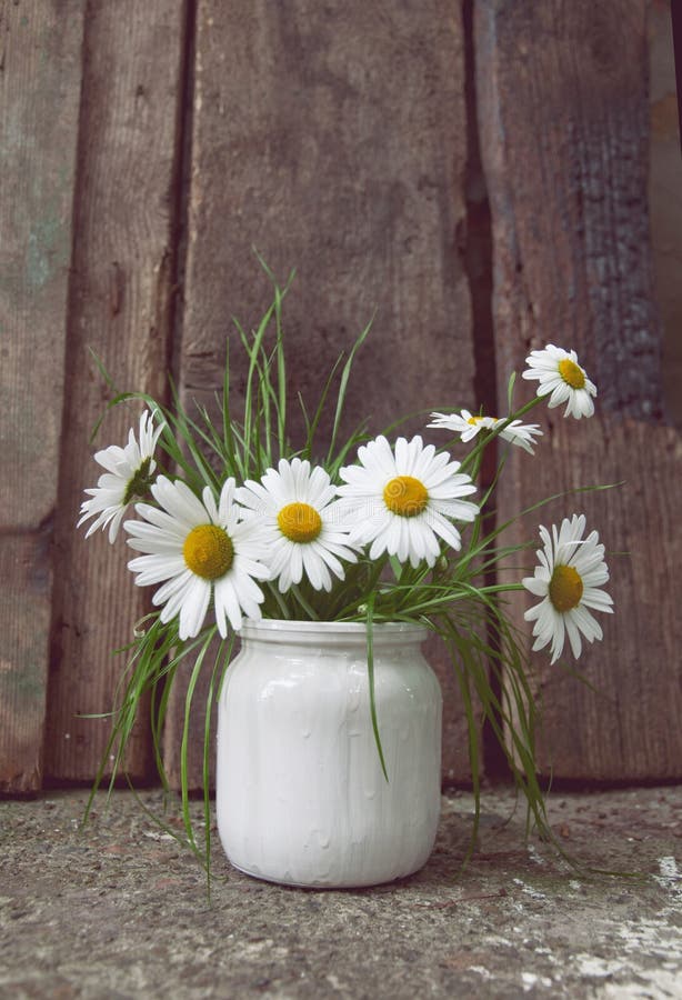 Daisy in vase stock photo. Image of flowers, decor, glass 20340432