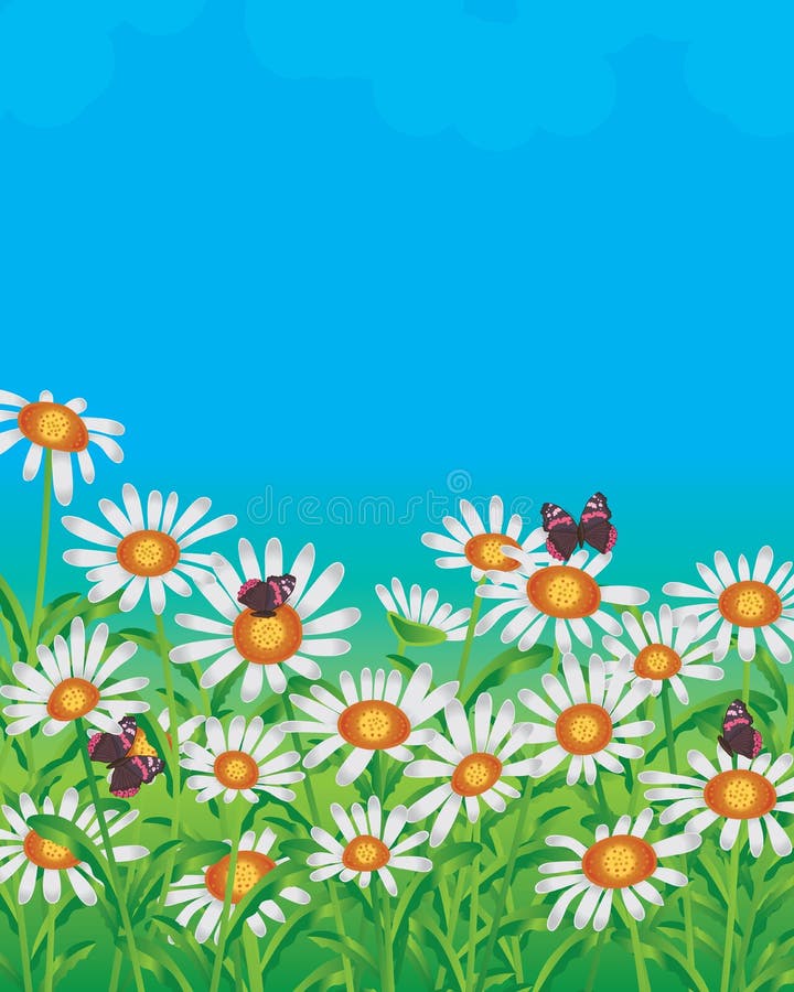 Daisy wit gebied stock illustratie Daisy wit gebied stock illustratie
