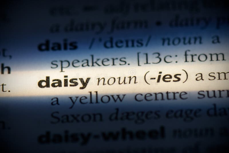 Daisy stock photo. Image of closeup, language, info 161578278
