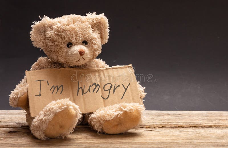 Dakloos hongerig kindconcept Droevige teddybeer, houdend een kartonteken, hongerige tekst