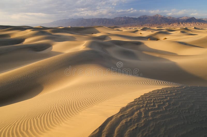 Mesquite Sand Dunes Death Valley National Park, California, USA. Mesquite Sand Dunes Death Valley National Park, California, USA