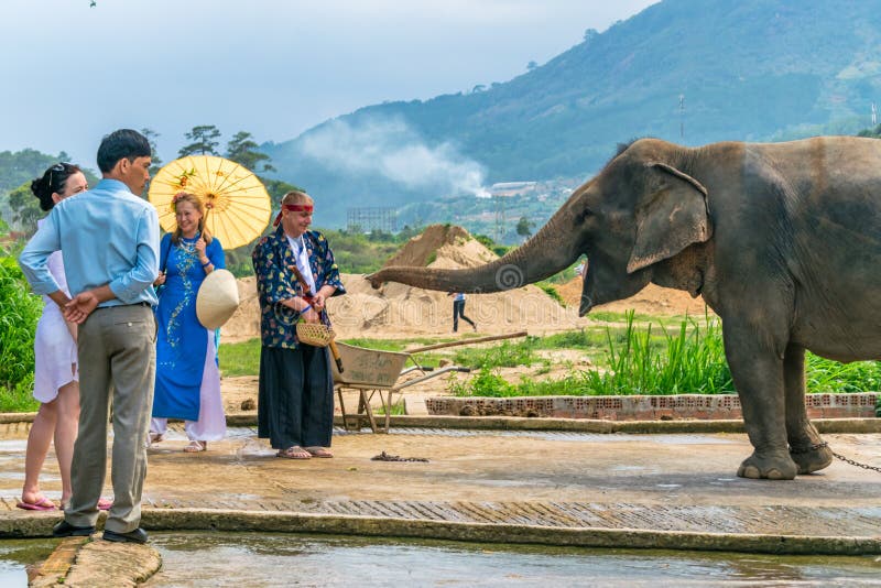 DALAT, VIETNAM - APRIL 15, 2019: Tourists feed elephant with mountain in the background in Dalat Vietnam royalty free stock photos DALAT, VIETNAM - APRIL 15, 2019: Tourists feed elephant with mountain in the background in Dalat Vietnam royalty free stock photos