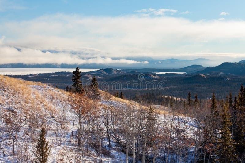 Dalingssneeuw bij het landschap Yukon Canada van Meerlaberge royalty-vrije stock fotografie Dalingssneeuw bij het landschap Yukon Canada van Meerlaberge royalty-vrije stock fotografie