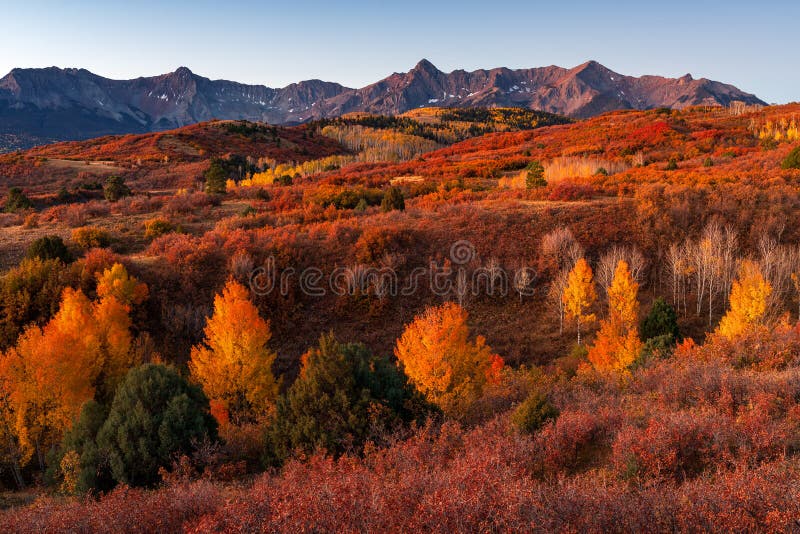 Dallas Divide with Fall Colors in the San Juan Mountains