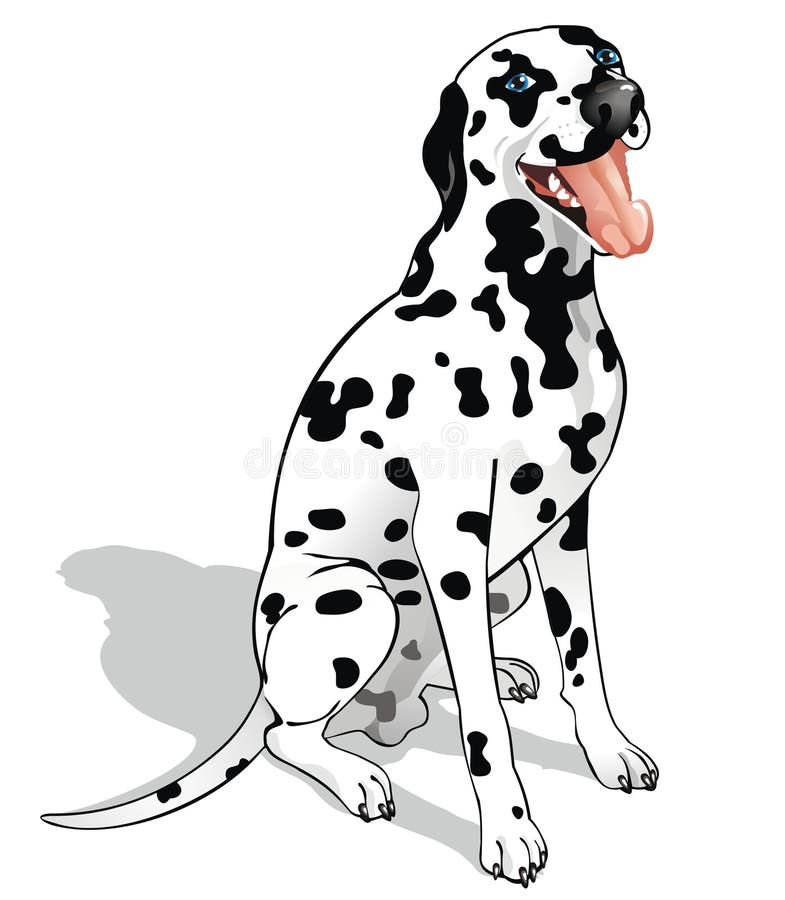 Sitting Dalmatian With A Ball Stock Vector - Illustration of tracing