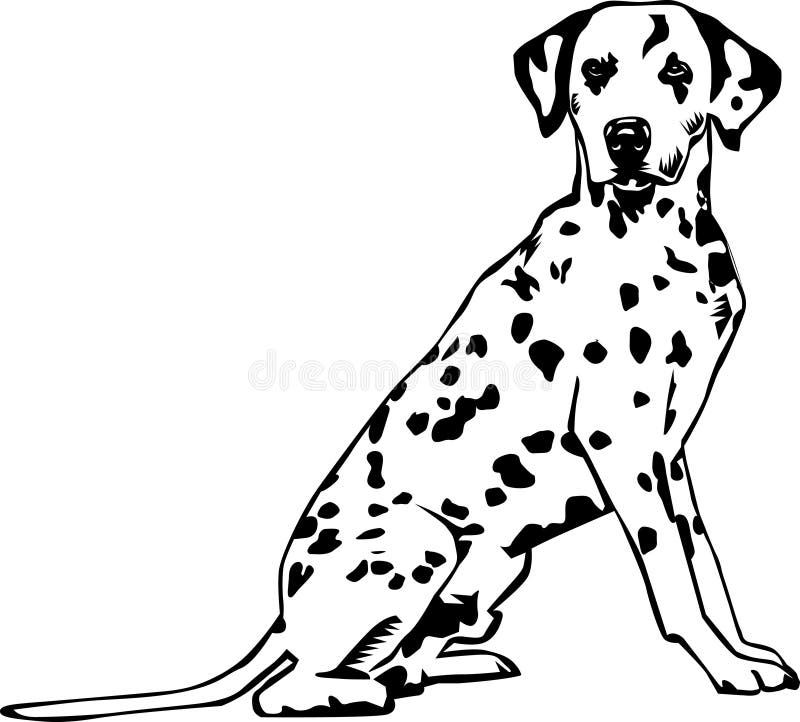 Dalmatisch stock illustratie Dalmatisch stock illustratie