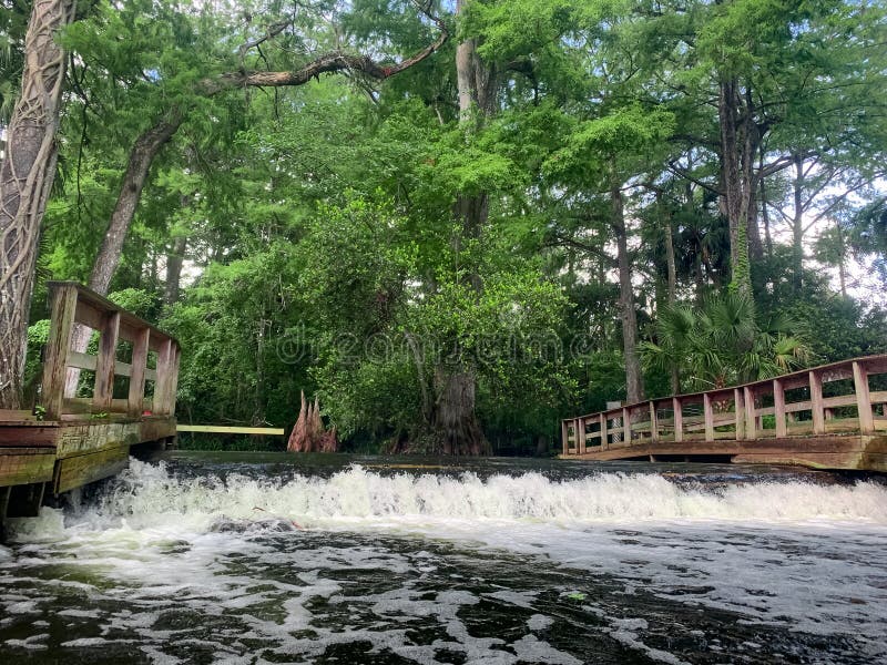 Dam and Waterfall on the Loxahatchee River Stock Photo Image of