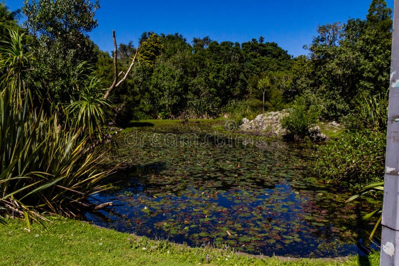 Damage caused to Western Springs Duck Pond after a storm,Auckland,New Zealand