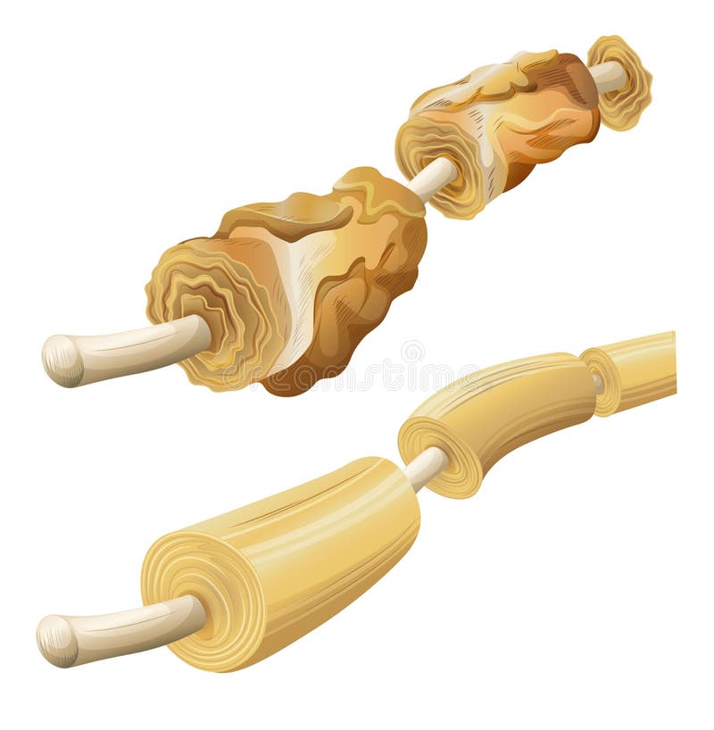 Damaged and healthy myelin sheaths vector illustration Damaged and healthy myelin sheaths vector illustration