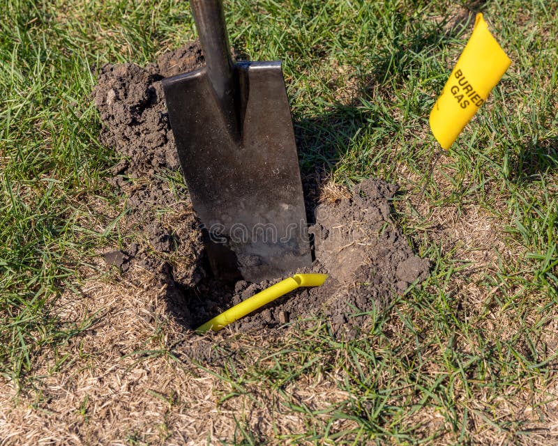 Damaged plastic natural gas line from digging hole in yard with shovel. Yellow buried natural gas warning flag