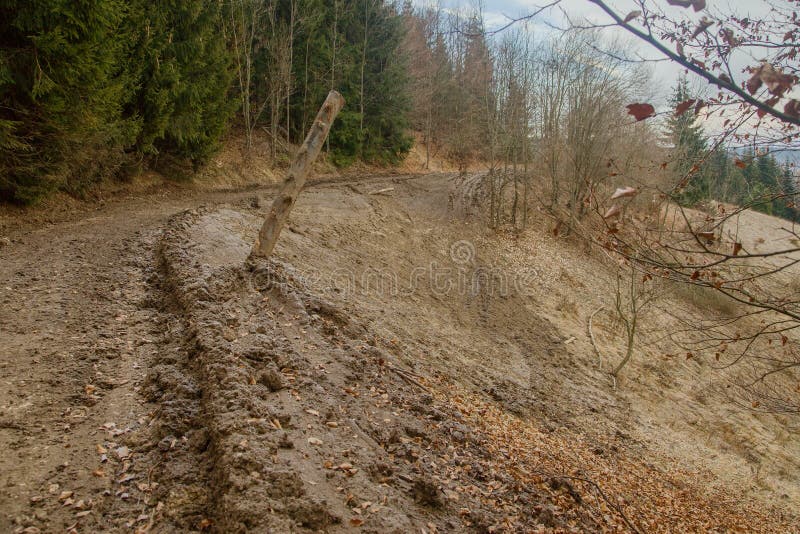 Poškodený svah pod blatovou lesnou cestou po odvoze dreva, Slovensko