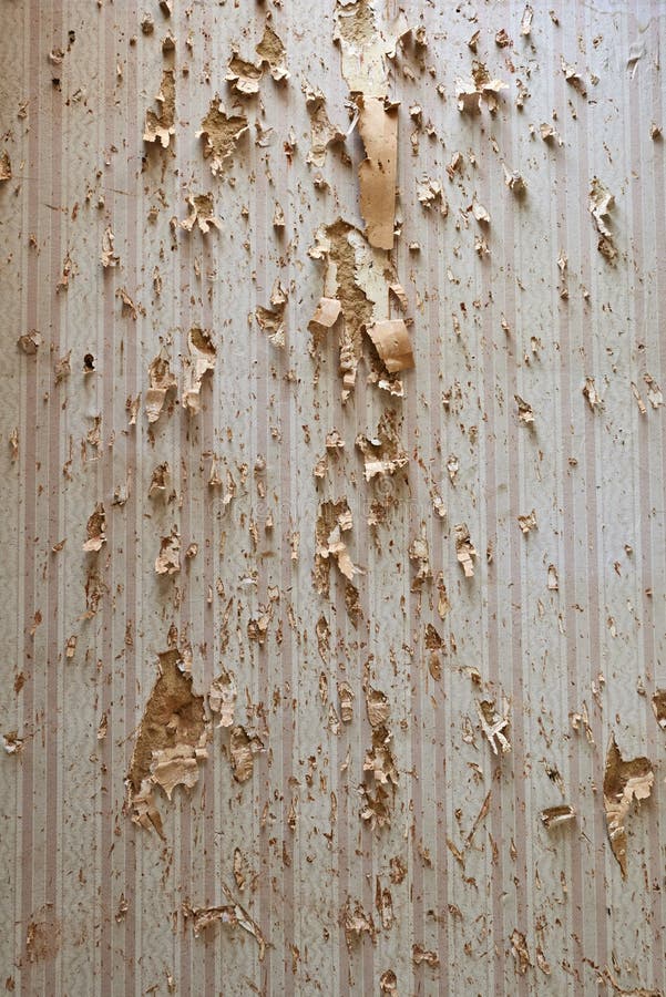 Damaged Wallpaper stock image. Image of entertainment 56841443