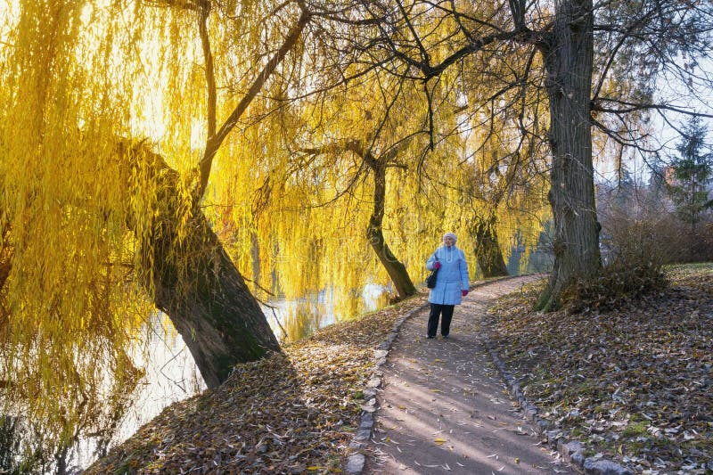 Dame pluse âgé marchant en parc le jour ensoleillé d'automne L'Ukraine, ville d'Uman, parc Sofiyivka images stock Dame pluse âgé marchant en parc le jour ensoleillé d'automne L'Ukraine, ville d'Uman, parc Sofiyivka images stock