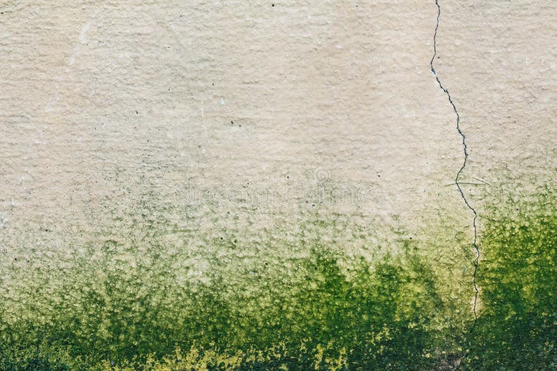 Damp moldy texture old concrete wall