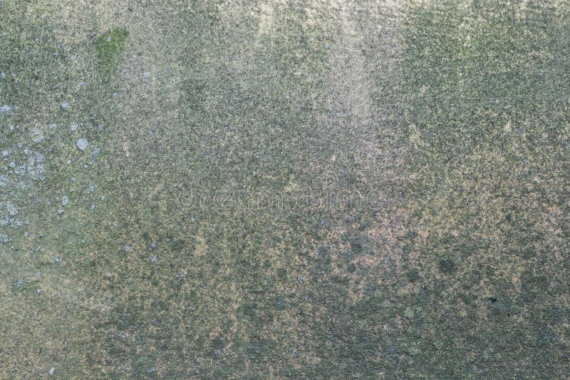 Damp Moldy Texture Old Concrete Wall Stock Photo - Image of split