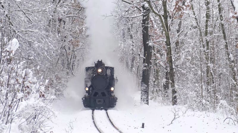 Dampfzugräder schließen Blick im Winter Wald