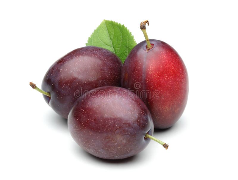 Damson Plums with Leaf Isolated on White Stock Image Image of damson, plums 139834267