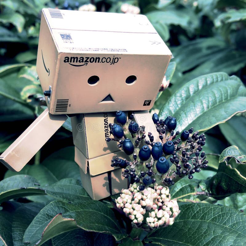 Danbo adventures royalty free stock images